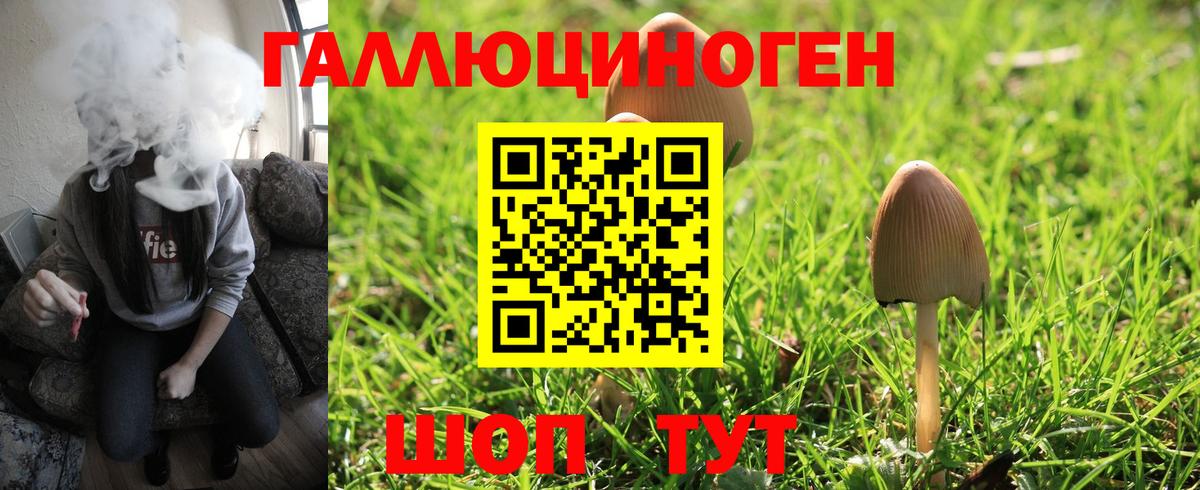Псилоцибиновые грибы Psilocybine cubensis Раменское